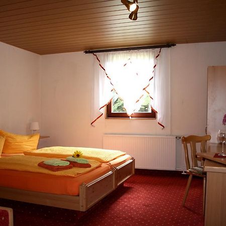 Pension Waldschaenke Geyer Exterior foto